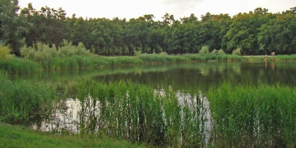 Київ отримає ще три заповідні зони