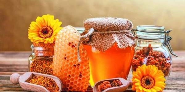 Корисні продукти від бджолярів: де придбати у столиці