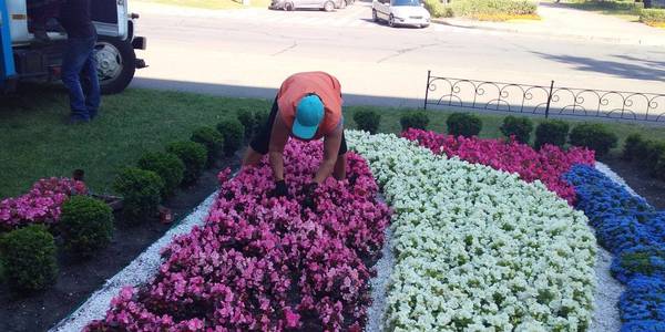 Комунальники Дніпровського району зустрінуть осінь новими клумбами