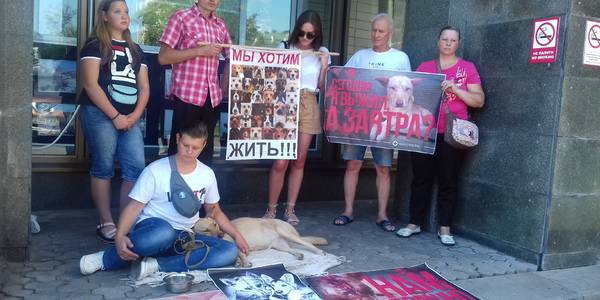 Зоозахисники б’ють на сполох: українські тварини стали мішенями