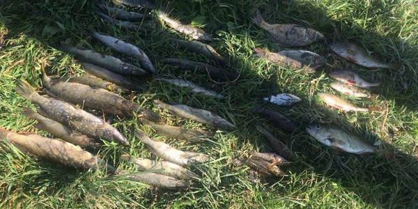 Під Києвом спіймали браконьєрів із 20 щуками
