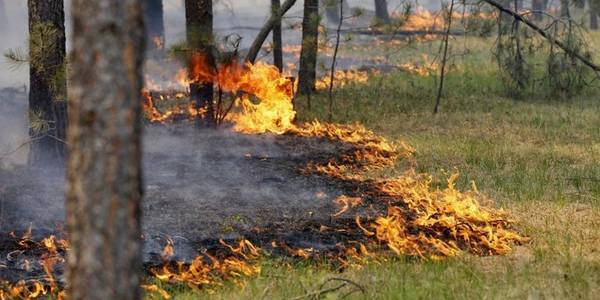 У Київській області очікується надзвичайна пожежна небезпека