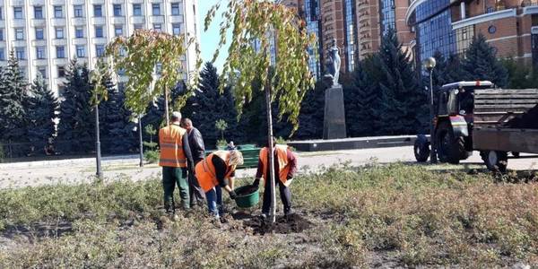 У центрі Києва висаджують неймовірні сакури