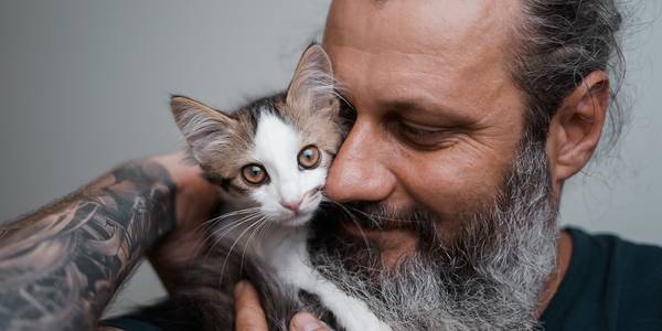 У Києві для розкішних чоловіків влаштують фотосесію із котами