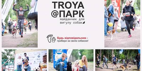 На Троєщині відкриють майданчик для собак