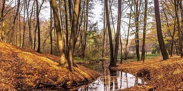 У Києві обрали переможців фотоконкурсу природи