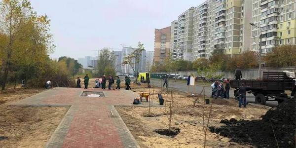 Вздовж магістралей Дарницького району висадили дерева
