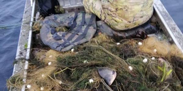 На Київському водосховищі знайшли 2 км сіток із сотнею кілограмів карасів