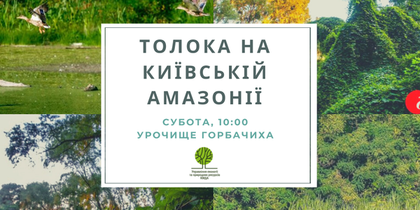 Киян запрошують на прибирання заповідної зони