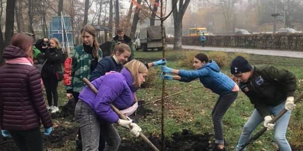 У Святошинському районі школярі висадили унікальні дерева
