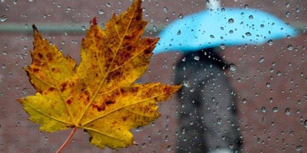 Зміна атмосферного фронту: що чекати киянам від погоди