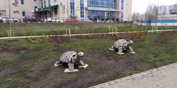 У столичному сквері оселилися черепахи
