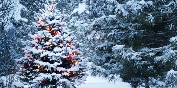 15 фільмів, які кожен має переглянути взимку