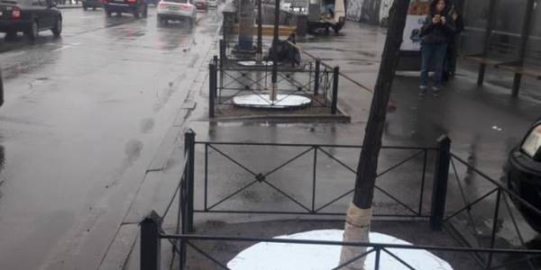 У Києві почали захищати дерева від солі