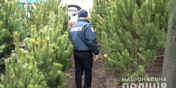 У Києві поліцейські провели рейд ялинковими базарами