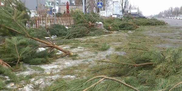 Новорічні «відходи»: як зменшити кількість сміття у Києві