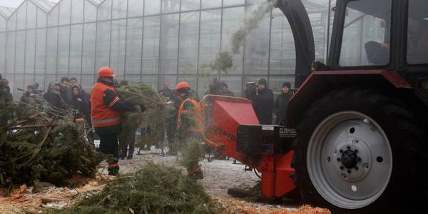 Де подрібнити ялинку: у Києві відкрилися пункти прийому дерев