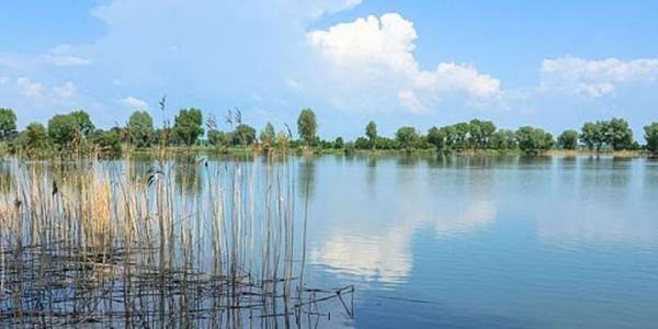 Які нові території зробили заповідниками у столиці