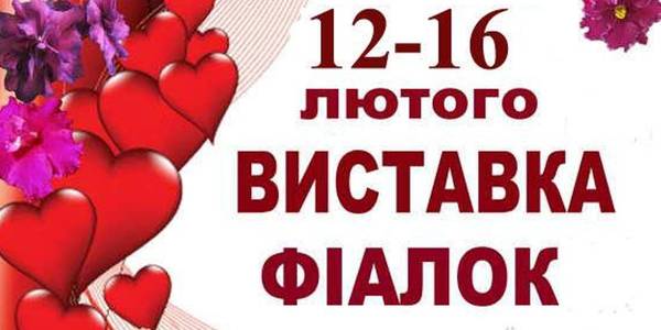 У столиці відкрилася романтична виставка фіалок