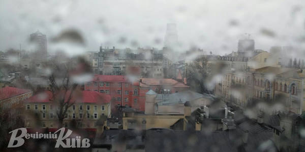 Сьогодні киянам радять обходити великі дерева