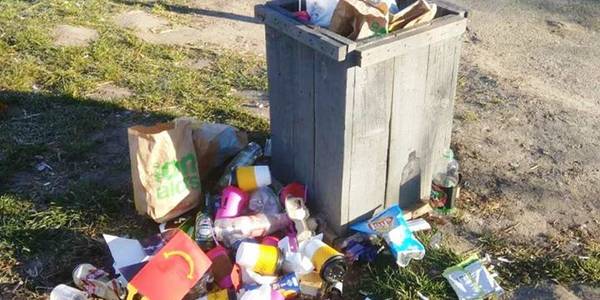 Забагато сміття як для карантину: на Святошино прибирали у парках