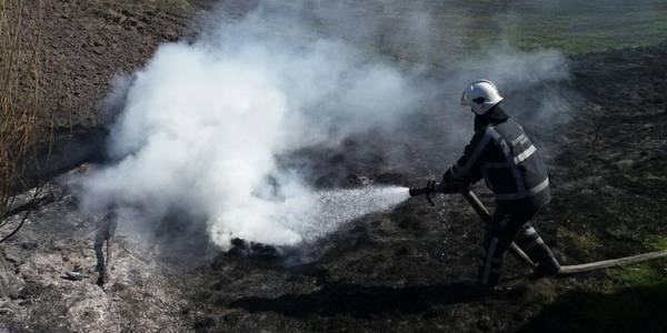 Під Києвом загорілося ще одне торфовище: запах гарі відчули у Голосіївському районі