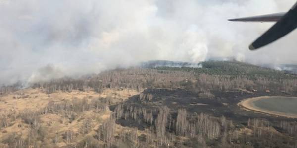 Чоловік спалив ліс на Київщині від нудьги: йому загрожує до 5 років в'язниці