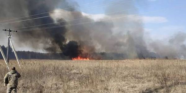 Пожежі навколо Києва приборкують, у Голосієві було 4 підпали
