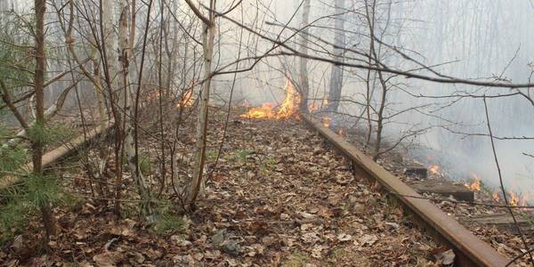 30 пожеж і забруднене повітря: киянам радять не виходити на вулицю