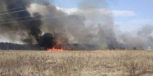 Терміново розшукують людей, що скоюють підпали навколо Києва