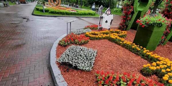 У Києві вандали понівечили казкову виставку квітів