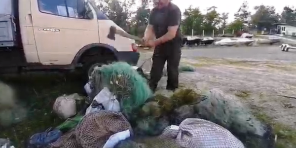 Під Києвом порубали сокирою понад 3 кілометри сіток