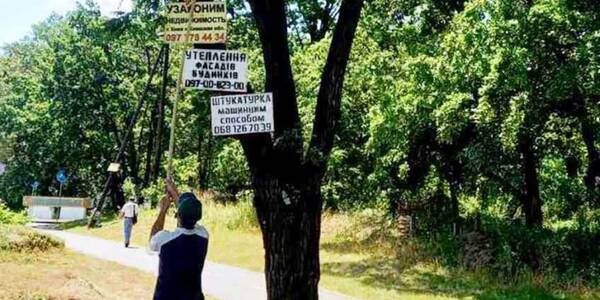 Озеленювачі Святошинського району очистили дерева від реклами  