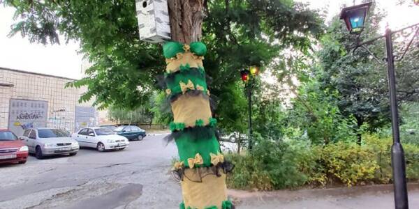 Дерево на Позняках одягли в яскраву сукню