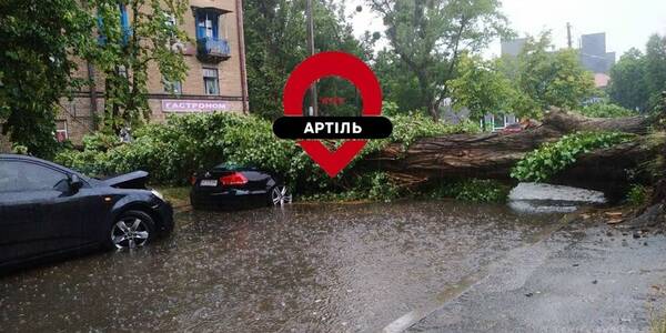 Потужна злива повалила дерева у Києві