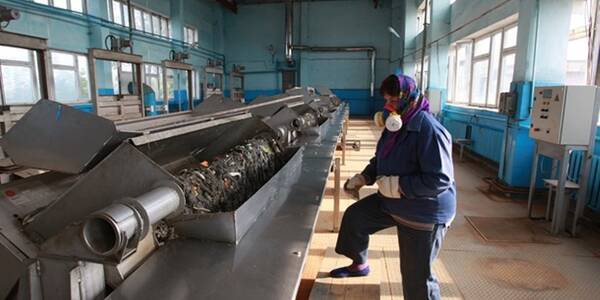 З каналізації Києва щодня витягують 8 тонн сміття