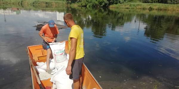 У Києві знову почистили озеро, забруднене нафтопродуктами