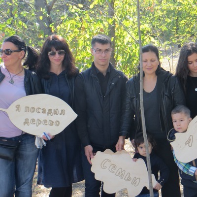 Дерева висаджують цілими родинами