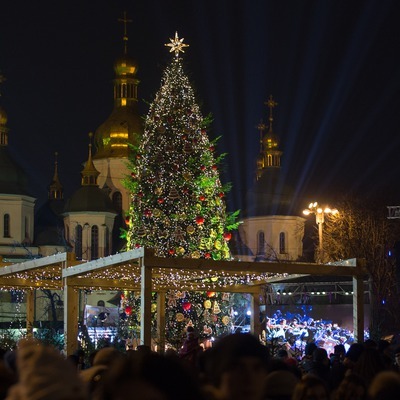 Новорічне дерево привезли з Франківщини