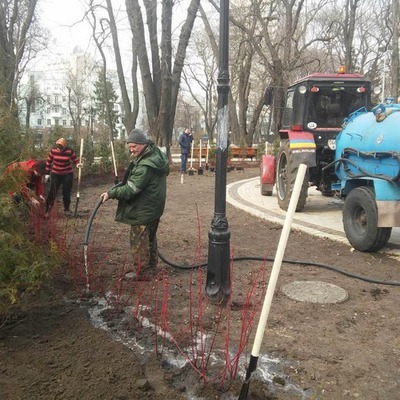 Саджанці щедро полили 