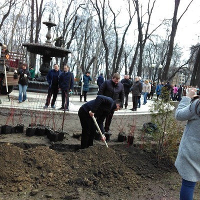 У Маріїнському парку масштабна толока