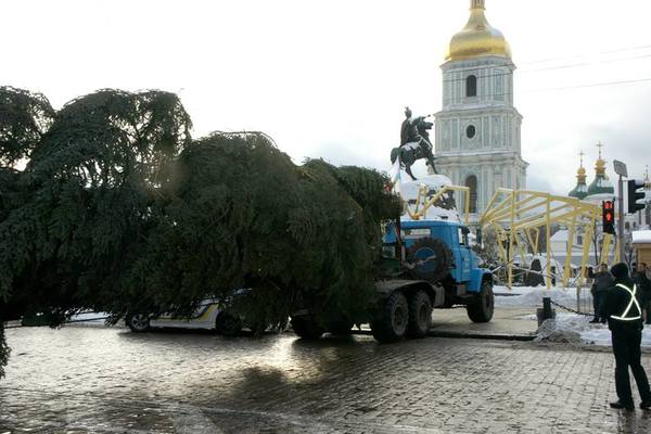 Головна ялинка уже на місці