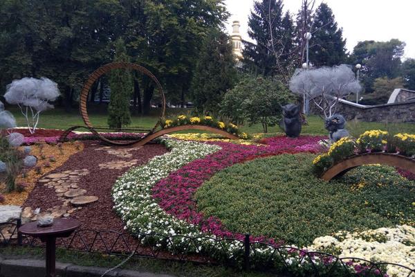 Дарницький район