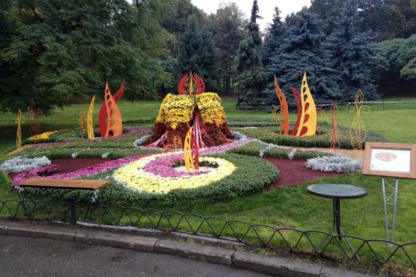Солом'янський район