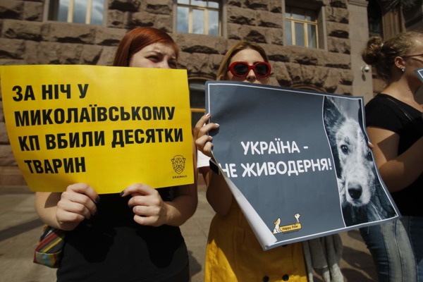 фото Бориса Корпусенка