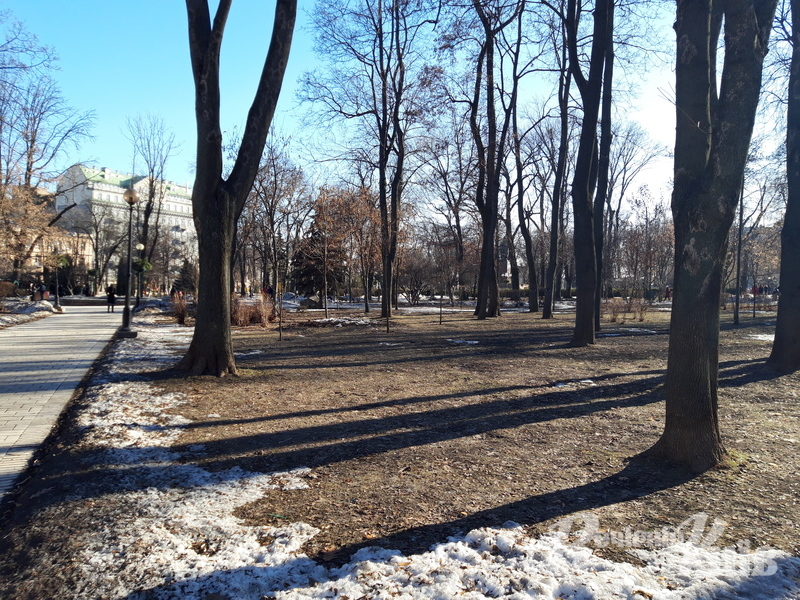 Фото автора