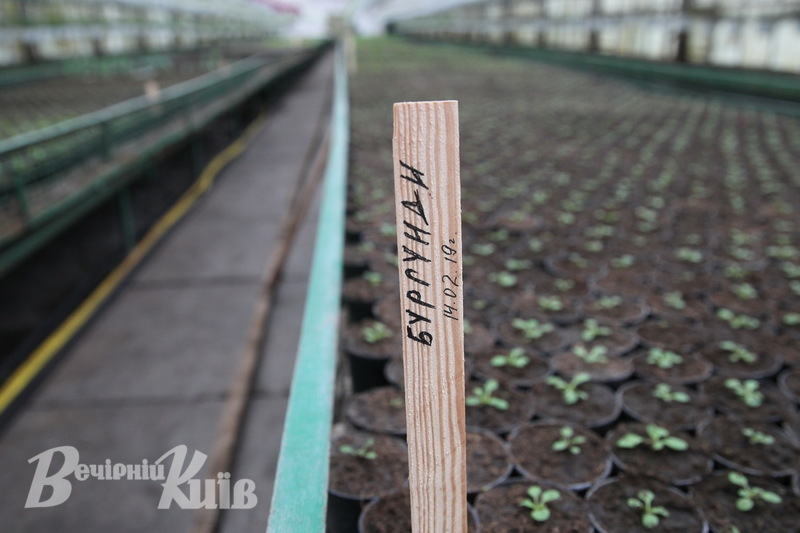 Фото Бориса КОРПУСЕНКА