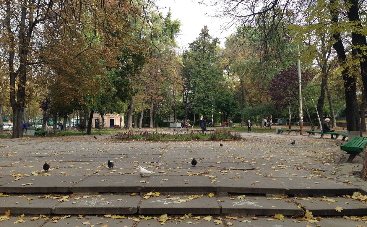 Дерева ростуть на території Павлівського скверу. Фото з відкритих джерел