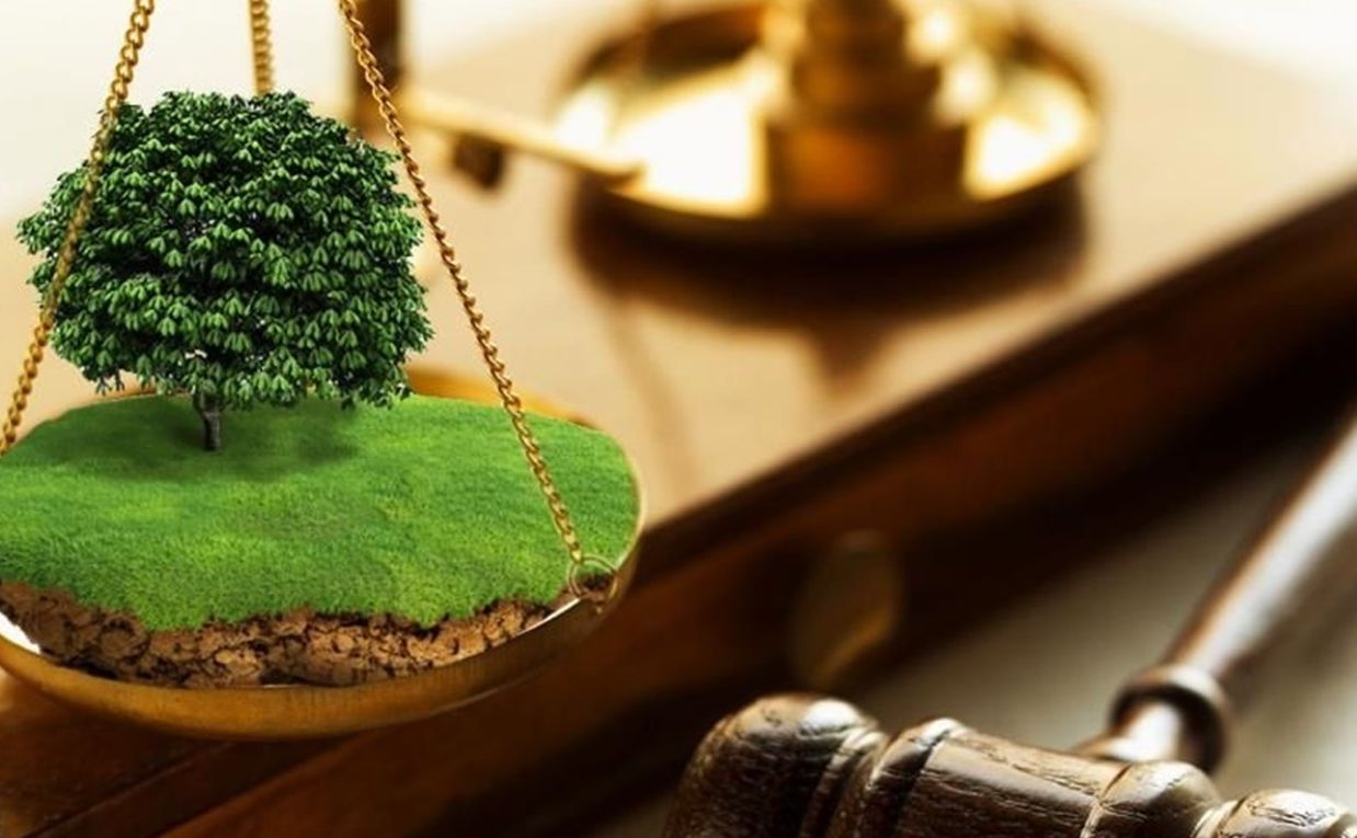 Продаж землі — солідне джерело наповнення бюджету. Колаж: З відкритих джерел.