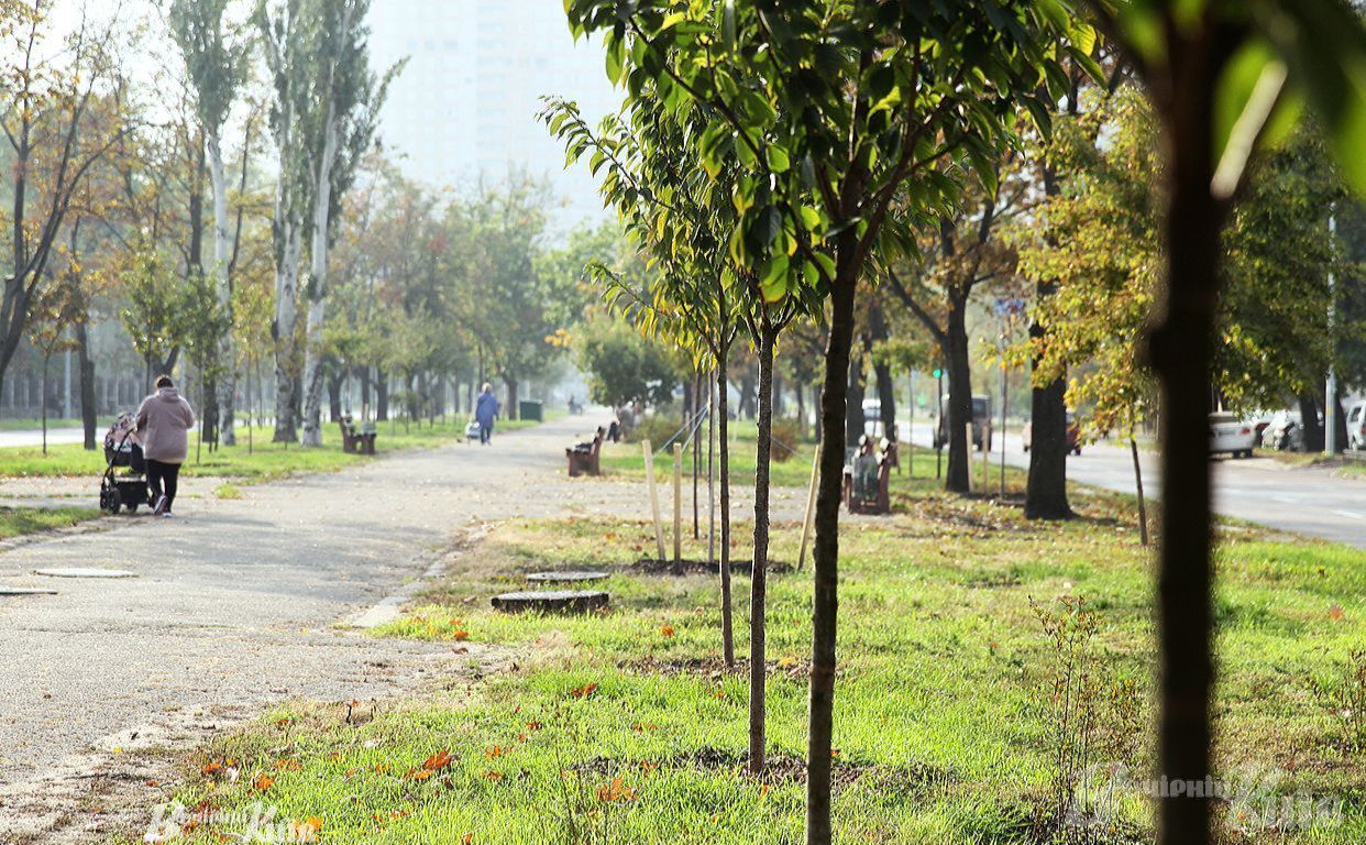 Сквери та зелені зони облаштовують в усіх районах столиці. Фото: Борис Корпусенко